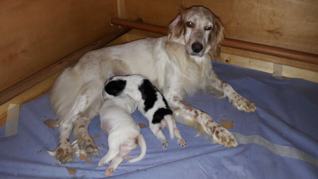 Des Vallons Du Soubestre - Naissance aux Vallons du Soubestre